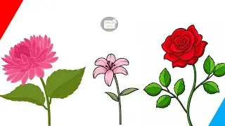 10 Flowers name || Kids learning || Learning video for kids || kids space video