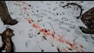 Late antlerless deer hunting and why it's tough.