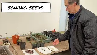 Sowing Seeds