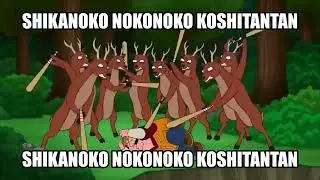 Peter got SHIKANOKO NOKONOKO KOSHITANTAN'd