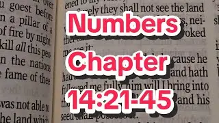 Daily Bible Reading Numbers Chapter 14:21-45 #biblescripture #biblestudy #wordofGod  #Bible #hope 