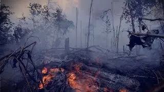 The Amazon fire in Brazil & new the Indonesian capital