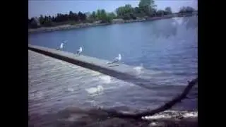 Relax & Enjoy The View HD