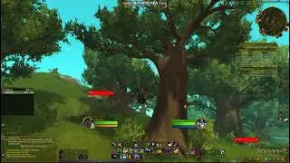 TWW - Playing in the Mud Quest and Rocks, Water, and Elemental Fodder WQ