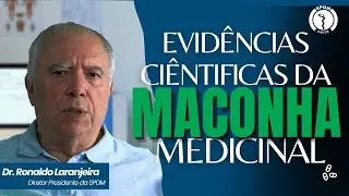 Evidências Científicas da Maconha Medicinal:  o que dizem os estudos clínicos