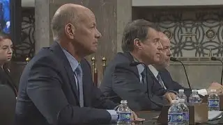 Bank execs blame panicked depositors for failures, but senators blame them