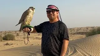 Dubai Desert Safari