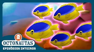 Octonautas - 🪸 O Peixe Donzela 🐠 | Episódio inteiro 7 | Segunda Temporada