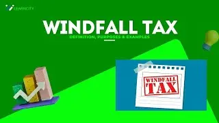 Windfall Tax - Definition, Purposes & Examples