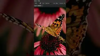 How to convert image into painting using photoshop | Digital Artist