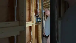 what our renovation has been like lately