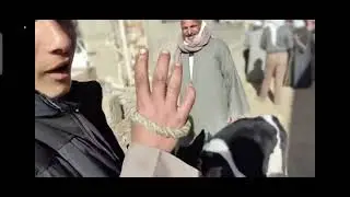 اسعار عجول البقر العشر واللبن والبقر الآنية من داخل السوق صلوا على الحبيب والاشتراك بالقناة 