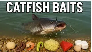 top 8 catfish baits that catch fish