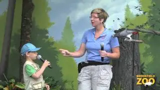 Check out Festival of Flight this Summer!