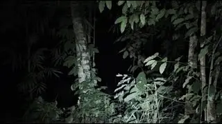 Live misteri malam ini || SISIR CARI DUKUN SUMITRO #dukunsantet #dukunpesugihan
