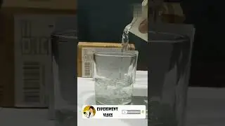 Water And Paper Experiment - Experiment Vlogs - #shorts
