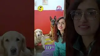 Meet Roohi Kulkarni Kale, Founder - Coach the Pooch At Pet Fair Bengaluru 2026