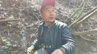 总算找到了些水蕨菜，饿了坐山顶上吃擀面皮，山里面就是好