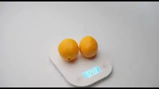 Новая модель весов Taste & Flavor
