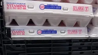 National Egg Day: wholesale egg prices drop, but consumers urged to be patient