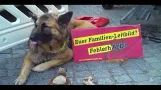 Zukunft ohne AfD