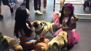 Pug Meetup LA - July