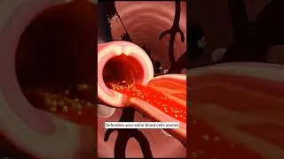 Why Garlic Makes You Smell (The 3D Science) 🧄💨
