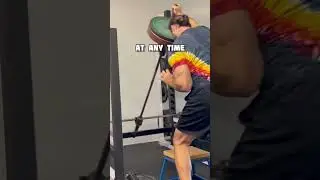Optimize your gym equipment with Uclips!