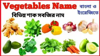 Vegetables Name | বিভিন্ন শাক সবজির নাম |20 Vegetables Name | Learning Vegetables Names in English.