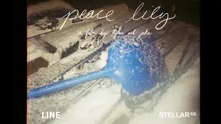 Peace Lily | A Film by Dylan and Jake
