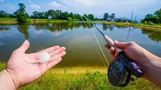 Fly Fishing JUICY FARM PONDS for Bass