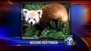 Rusty the Red Panda missing from National Zoo