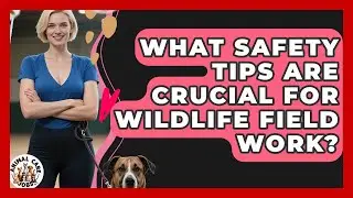 What Safety Tips Are Crucial For Wildlife Field Work? - Animal Care Jobs