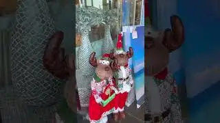 Christmas decor #orionmall #springfield #christmas2023