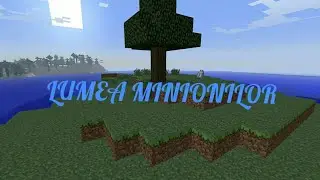 MINECRAFT LUMEA MINIONILOR-FACEN CASA DIN NETHERACK!!