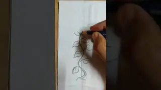 climber plant drawing#shorts #youtubeshorts
