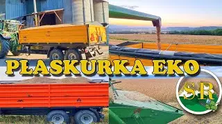 Żniwa ku końcowi ! | Znamy przyczynę awarii kombajnu - padły 4 łożyska! | Transport do skupu