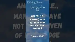 Allah's Answer to What the Soul Really Is #quran #faith #knowledge