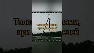 Мышиный замок (ч1) #музыка #рок #панк #music #rock #punk #alternative #metal #black #newmusic