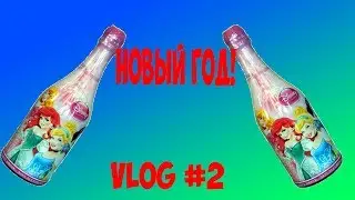 Новый Год! | VLOG #2 | Sofia_Son.