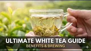 how to brew white tea