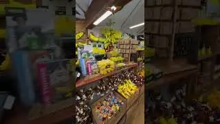 Big banana amusement park coffs harbor Sydney Australia