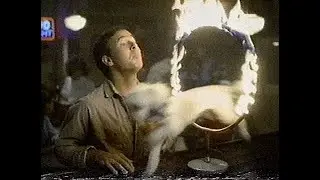 1990 Bud Light dog jumps thru flaming hoop TV commercial