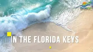 Florida Keys Vacation Rentals - Family Reunions, Groups, Florida Keys Vacation Rental - 954-263-2995