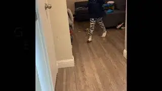 5 year old gets pooped on!!!!!
