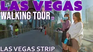 Las Vegas Strip Walking Tour 11/24/20 2:30 PM