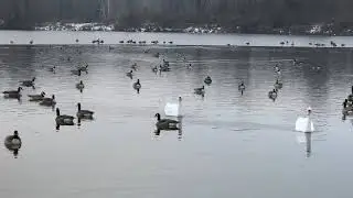 Fairy Tale Lake
