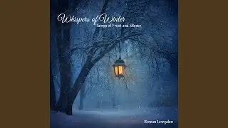 Night at the Frozen Lake
