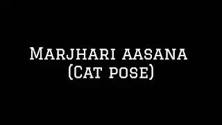Catpose(women's health series)||#catpose#yogaforwomen #yogashorts