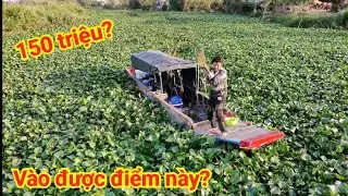 Bỏ ra 150 triệu để đi được vào điểm câu toàn cá khủng này- Cá lôi bay cần